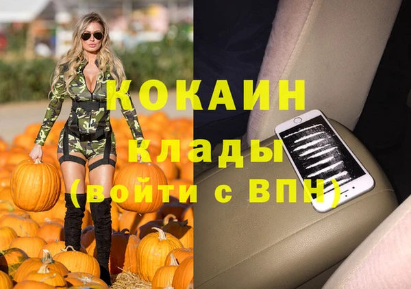 прущие грибы Навашино