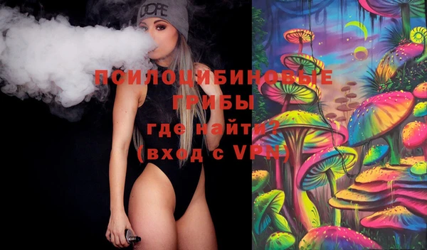 хмурый Нефтекумск