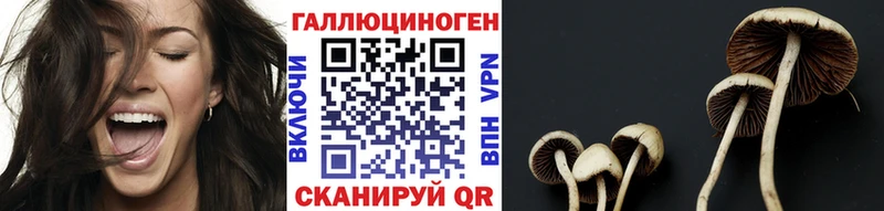 Псилоцибиновые грибы GOLDEN TEACHER  Купить где  Фокино 